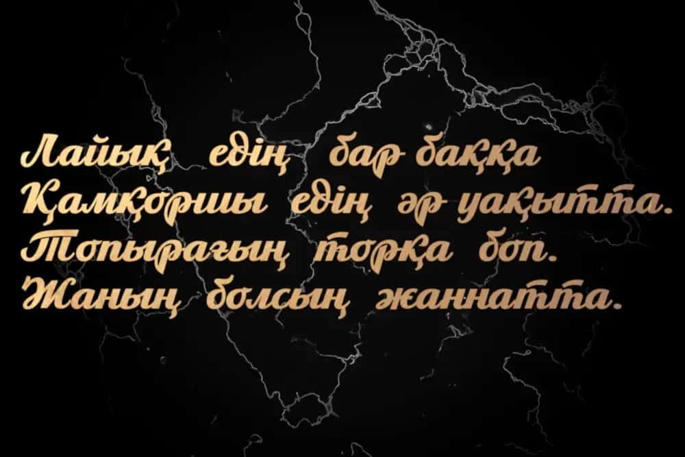 Стихи и надписи на мусульманский памятник (Казахский язык)